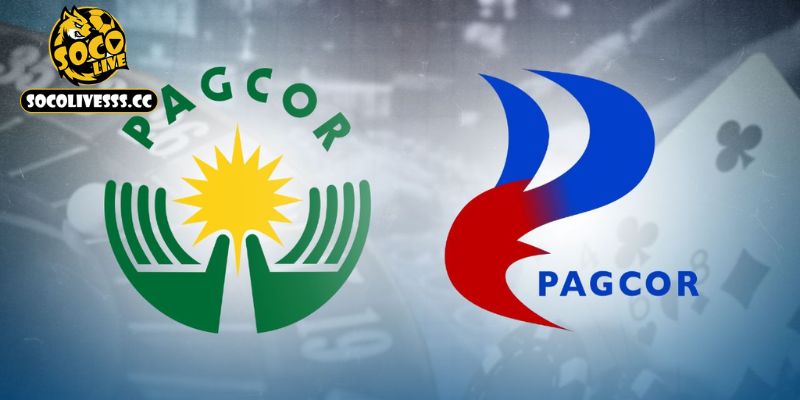 Cơ sở pháp lý cần thiết của giấy phép hoạt động Socolive